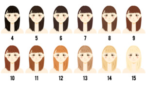 ヘアカラーチャート